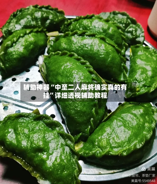辅助神器“中至二人麻将确实真的有挂”详细透视辅助教程-第3张图片