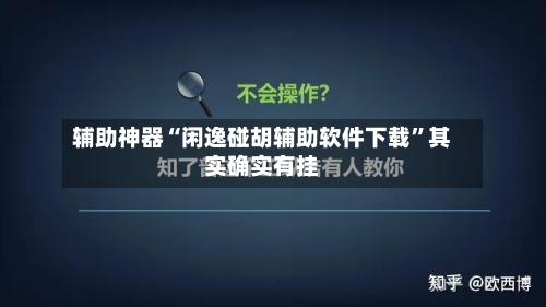 辅助神器“闲逸碰胡辅助软件下载”其实确实有挂