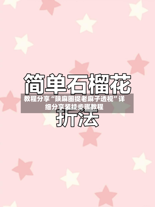 教程分享“陕麻圈捉老麻子透视”详细分享装挂步骤教程-第2张图片