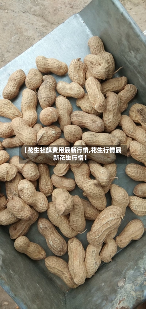 【花生社旗费用最新行情,花生行情最新花生行情】-第2张图片