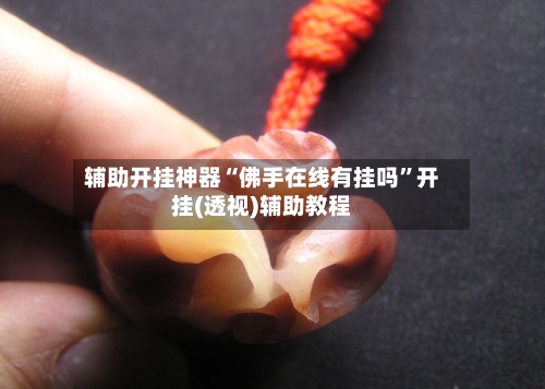辅助开挂神器“佛手在线有挂吗”开挂(透视)辅助教程-第2张图片