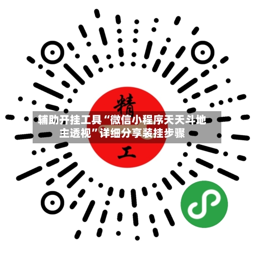 辅助开挂工具“微信小程序天天斗地主透视”详细分享装挂步骤-第2张图片