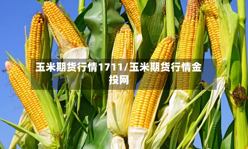 玉米期货行情1711/玉米期货行情金投网-第3张图片