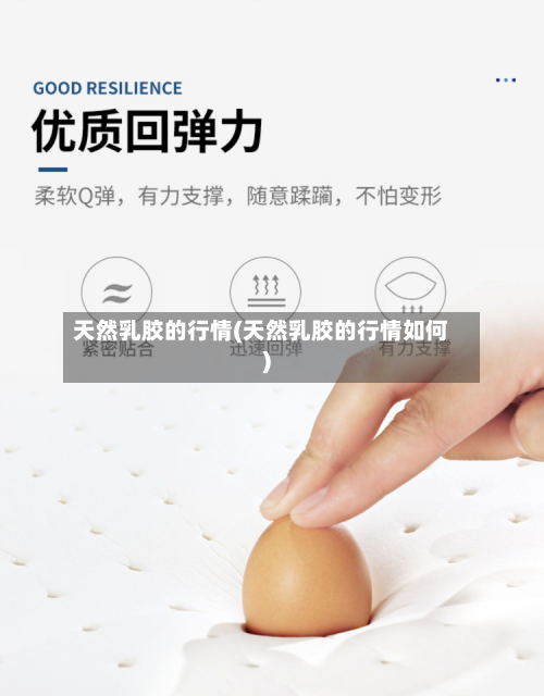 天然乳胶的行情(天然乳胶的行情如何)