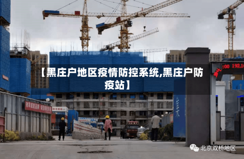 【黑庄户地区疫情防控系统,黑庄户防疫站】