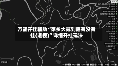 万能开挂辅助“家乡大贰到底有没有挂(透视)	”详细开挂玩法-第2张图片