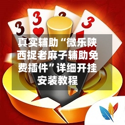 真实辅助“微乐陕西捉老麻子辅助免费插件”详细开挂安装教程-第2张图片
