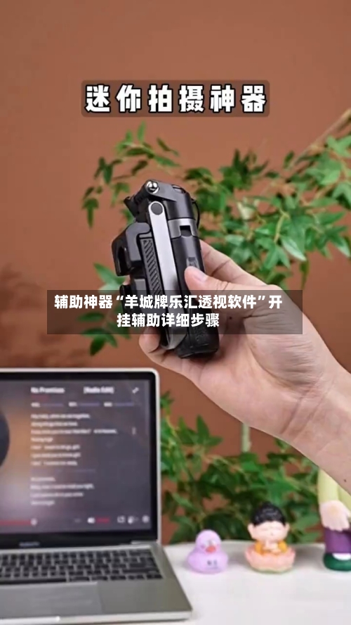 辅助神器“羊城牌乐汇透视软件	”开挂辅助详细步骤-第2张图片