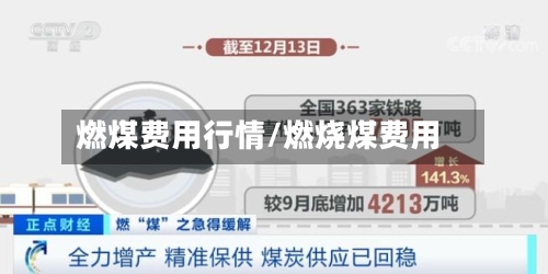 燃煤费用行情/燃烧煤费用