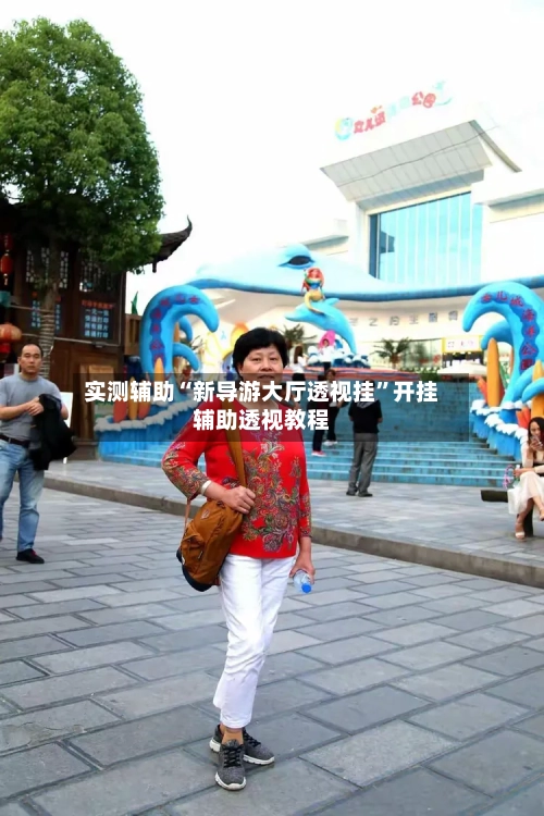 实测辅助“新导游大厅透视挂”开挂辅助透视教程-第2张图片