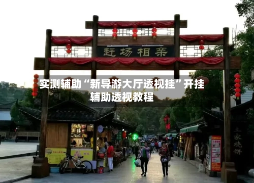 实测辅助“新导游大厅透视挂”开挂辅助透视教程-第3张图片