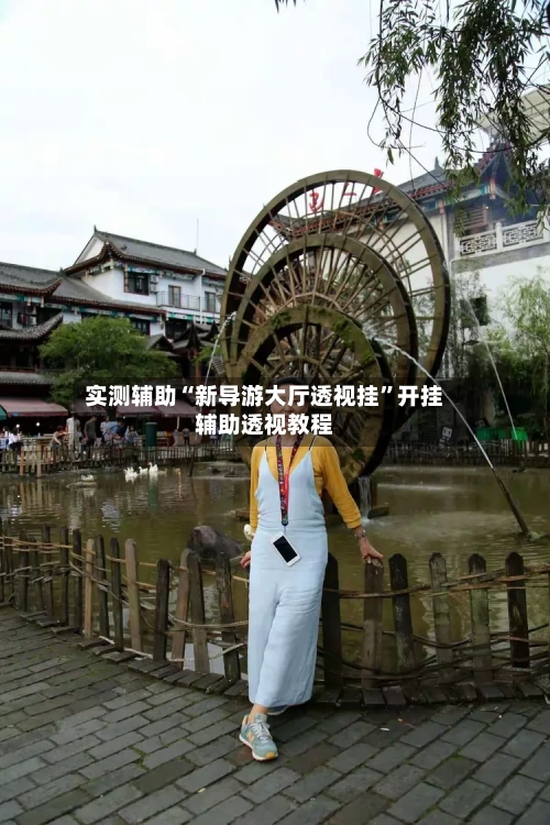 实测辅助“新导游大厅透视挂”开挂辅助透视教程