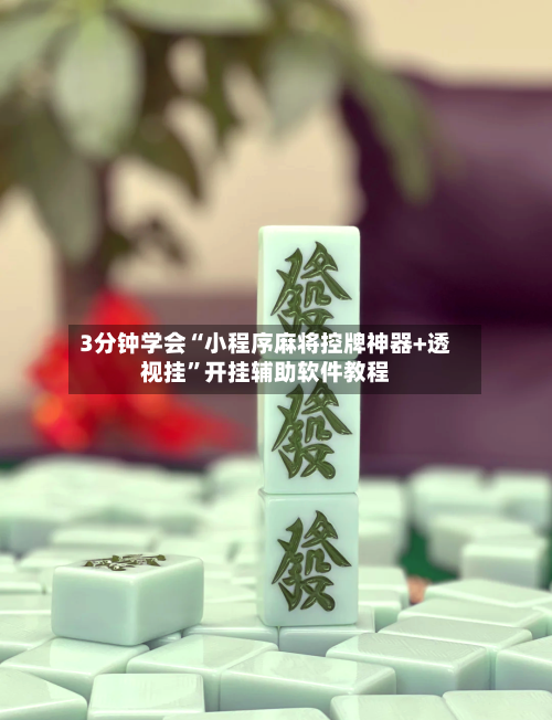 3分钟学会“小程序麻将控牌神器+透视挂”开挂辅助软件教程-第2张图片