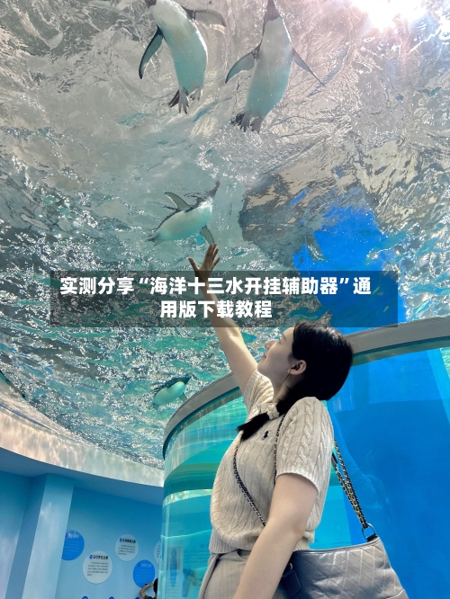 实测分享“海洋十三水开挂辅助器”通用版下载教程-第3张图片