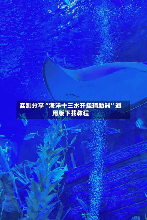实测分享“海洋十三水开挂辅助器”通用版下载教程