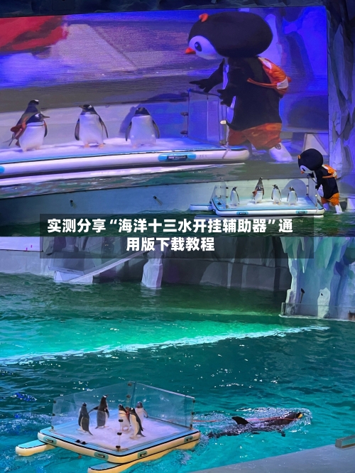 实测分享“海洋十三水开挂辅助器”通用版下载教程-第2张图片