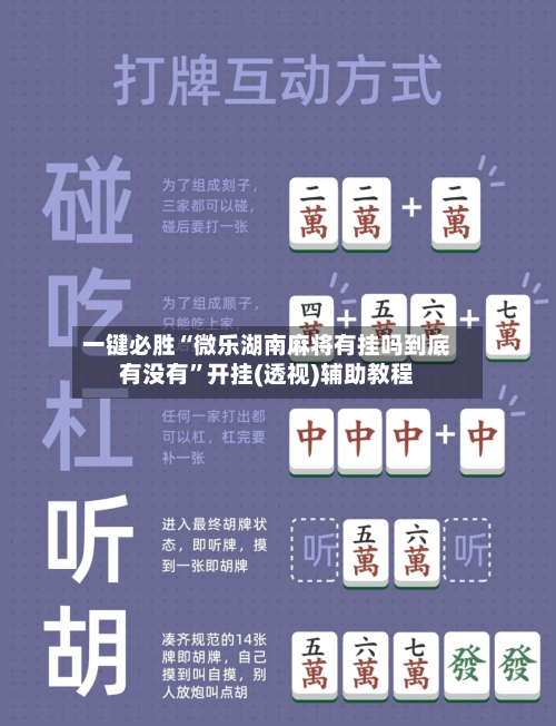 一键必胜“微乐湖南麻将有挂吗到底有没有”开挂(透视)辅助教程-第2张图片
