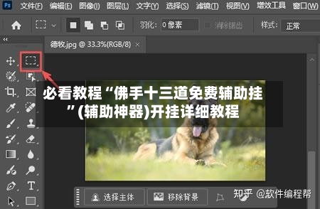 必看教程“佛手十三道免费辅助挂”(辅助神器)开挂详细教程