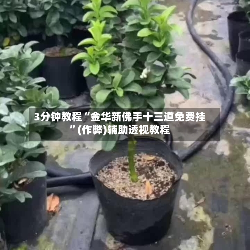3分钟教程“金华新佛手十三道免费挂”(作弊)辅助透视教程