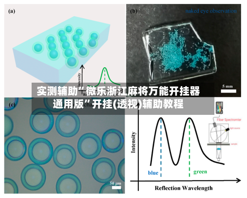 实测辅助”微乐浙江麻将万能开挂器通用版”开挂(透视)辅助教程