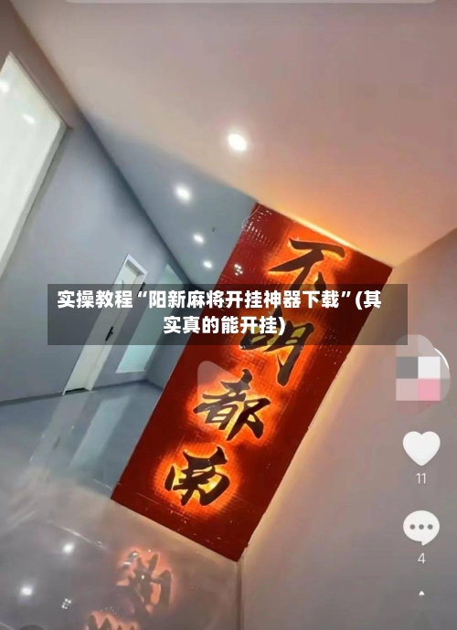 实操教程“阳新麻将开挂神器下载	”(其实真的能开挂)-第2张图片