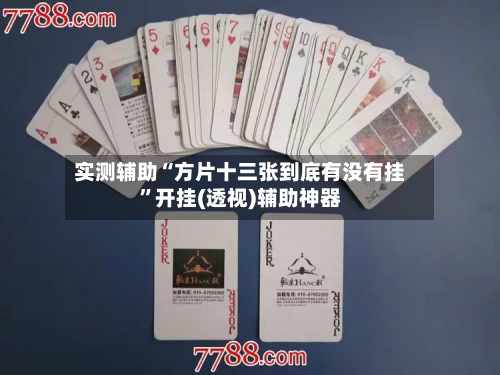 实测辅助“方片十三张到底有没有挂”开挂(透视)辅助神器-第3张图片