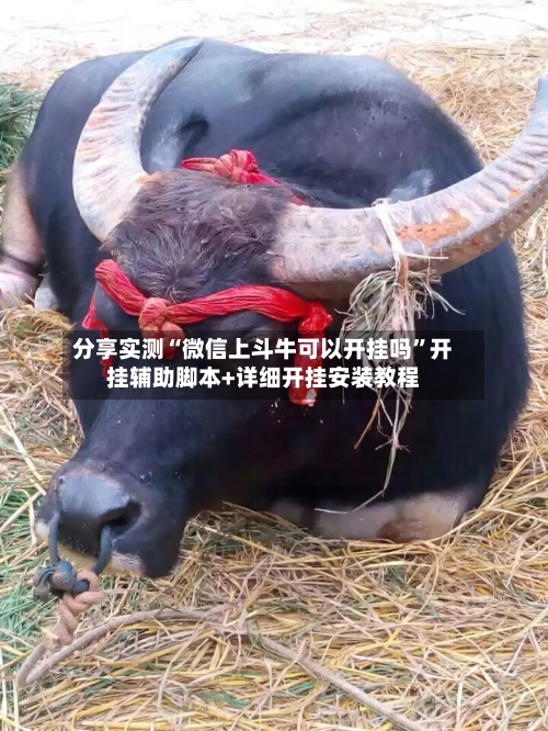 分享实测“微信上斗牛可以开挂吗	”开挂辅助脚本+详细开挂安装教程-第2张图片