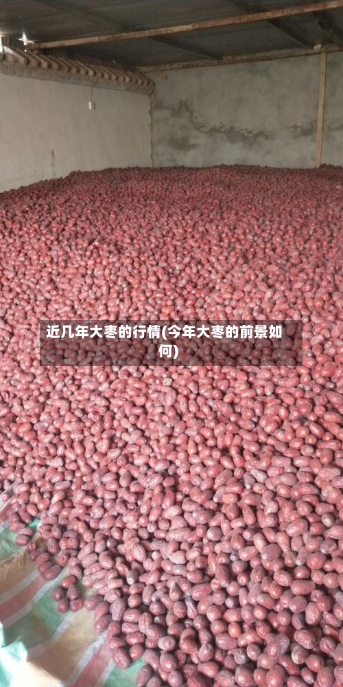 近几年大枣的行情(今年大枣的前景如何)
