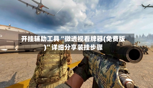 开挂辅助工具“微透视看牌器(免费版)	”详细分享装挂步骤-第2张图片