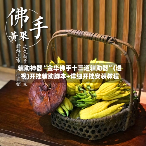 辅助神器“金华佛手十三道辅助器”(透视)开挂辅助脚本+详细开挂安装教程-第2张图片