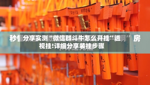 分享实测“微信群斗牛怎么开挂”透视挂!详细分享装挂步骤-第3张图片
