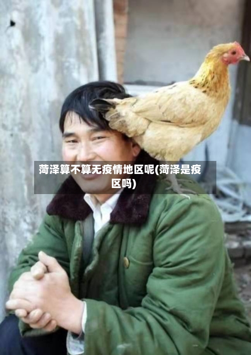 菏泽算不算无疫情地区呢(菏泽是疫区吗)