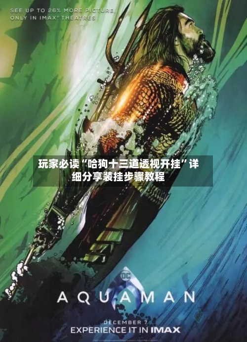 玩家必读“哈狗十三道透视开挂	”详细分享装挂步骤教程-第2张图片