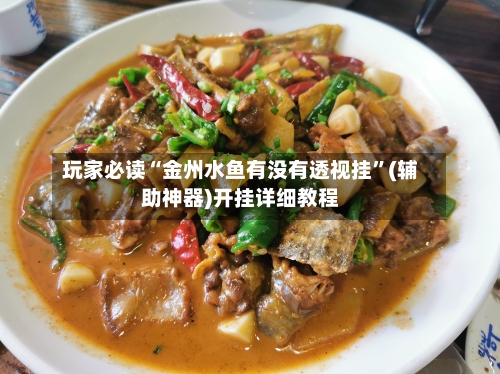玩家必读“金州水鱼有没有透视挂”(辅助神器)开挂详细教程-第3张图片