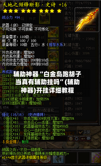 辅助神器“白金岛跑胡子当真有辅助挂吗”(辅助神器)开挂详细教程