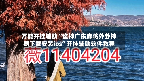 万能开挂辅助“雀神广东麻将外卦神器下载安装ios	”开挂辅助软件教程-第2张图片