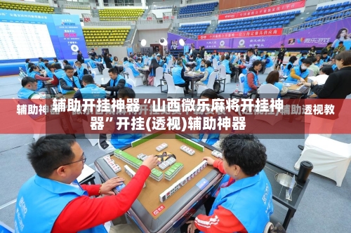 辅助开挂神器“山西微乐麻将开挂神器”开挂(透视)辅助神器-第2张图片