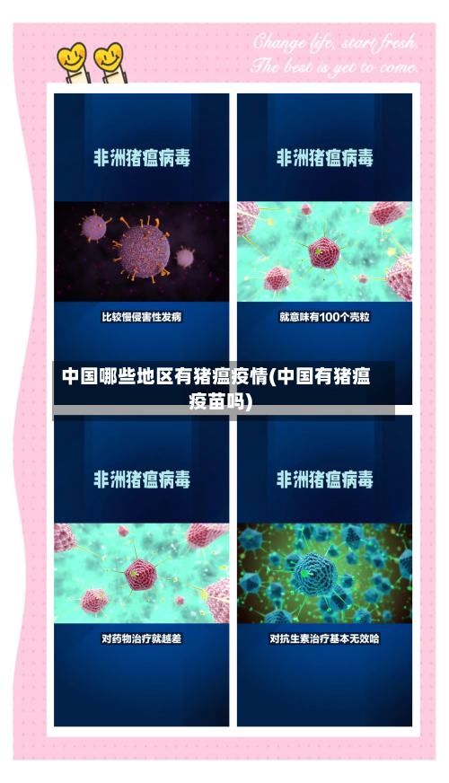 中国哪些地区有猪瘟疫情(中国有猪瘟疫苗吗)-第3张图片