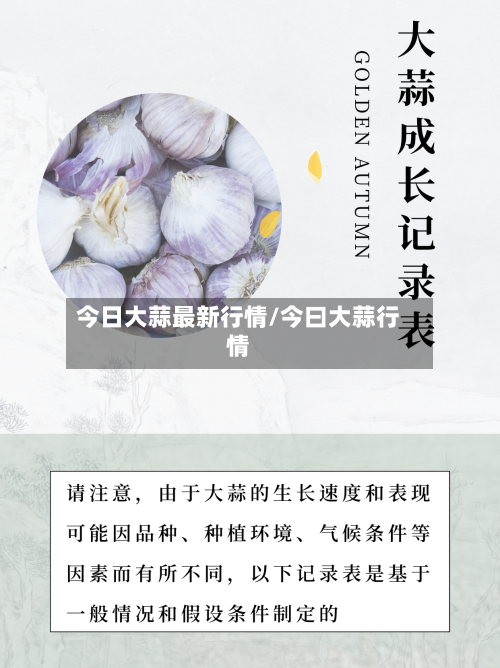 今日大蒜最新行情/今曰大蒜行情-第3张图片