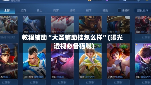 教程辅助“大圣辅助挂怎么样”(曝光透视必备猫腻)-第3张图片
