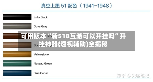 可用版本“新518互游可以开挂吗”开挂神器{透视辅助}全揭秘-第3张图片