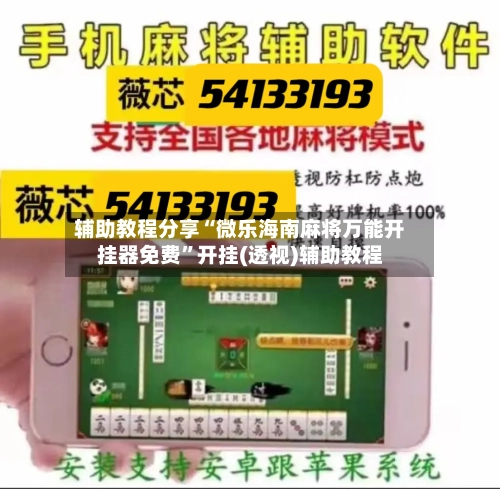 辅助教程分享“微乐海南麻将万能开挂器免费”开挂(透视)辅助教程-第3张图片