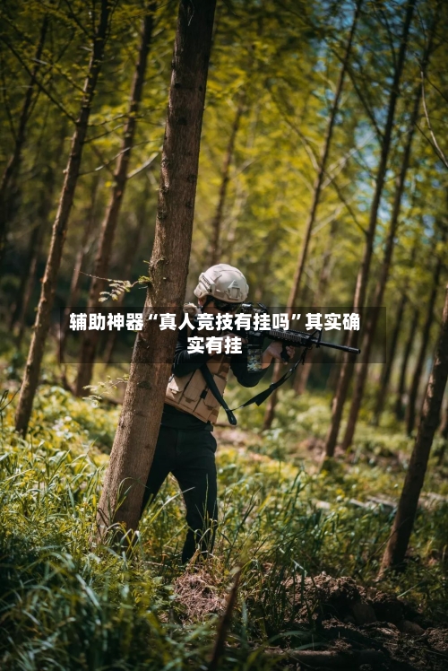 辅助神器“真人竞技有挂吗”其实确实有挂