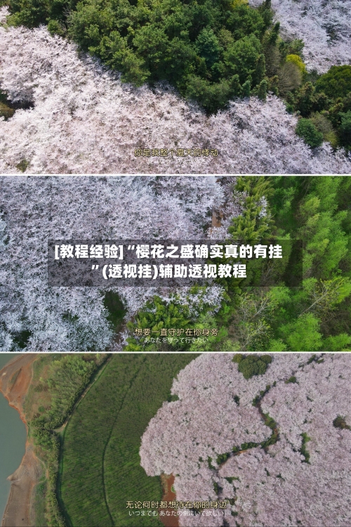 [教程经验]“樱花之盛确实真的有挂”(透视挂)辅助透视教程