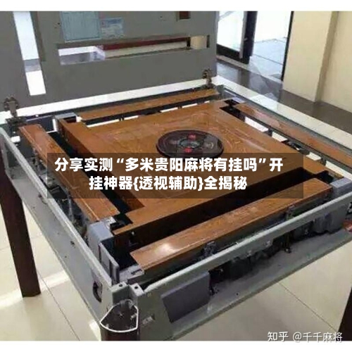 分享实测“多米贵阳麻将有挂吗”开挂神器{透视辅助}全揭秘-第2张图片