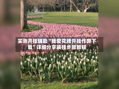 实测开挂辅助“我爱花牌开挂作弊下载”详细分享装挂步骤教程
