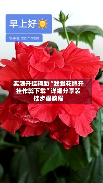实测开挂辅助“我爱花牌开挂作弊下载”详细分享装挂步骤教程-第2张图片