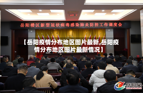【岳阳疫情分布地区图片最新,岳阳疫情分布地区图片最新情况】-第2张图片
