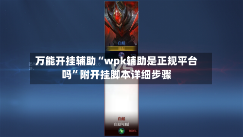 万能开挂辅助“wpk辅助是正规平台吗”附开挂脚本详细步骤-第2张图片