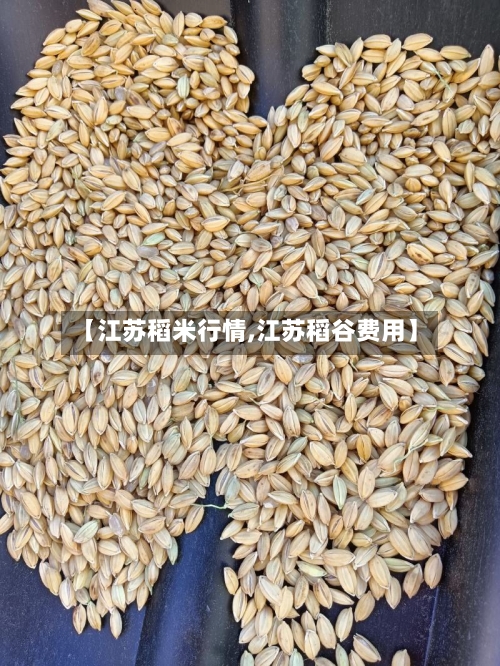 【江苏稻米行情,江苏稻谷费用】